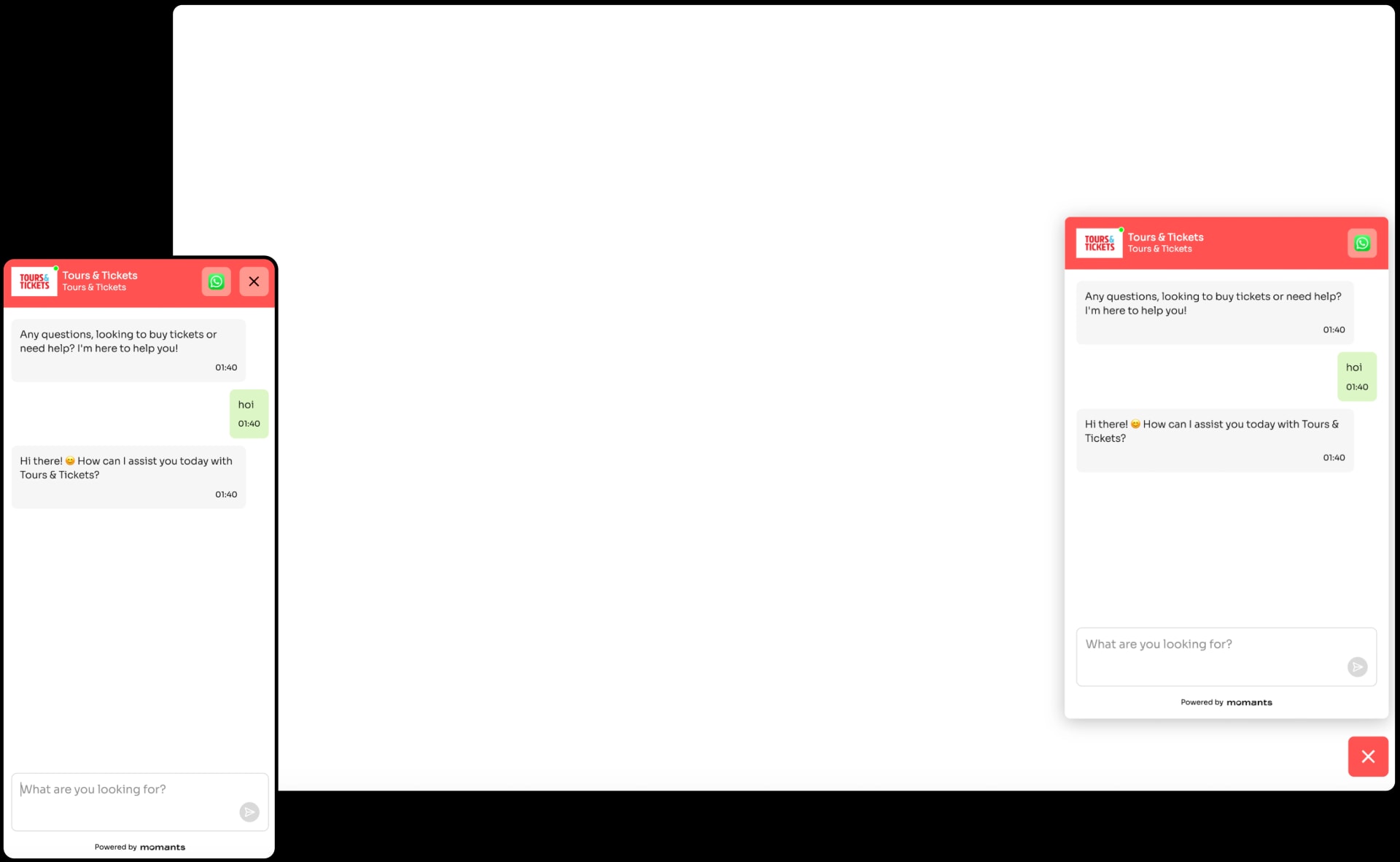 Momants.ai Agent frontend project interface